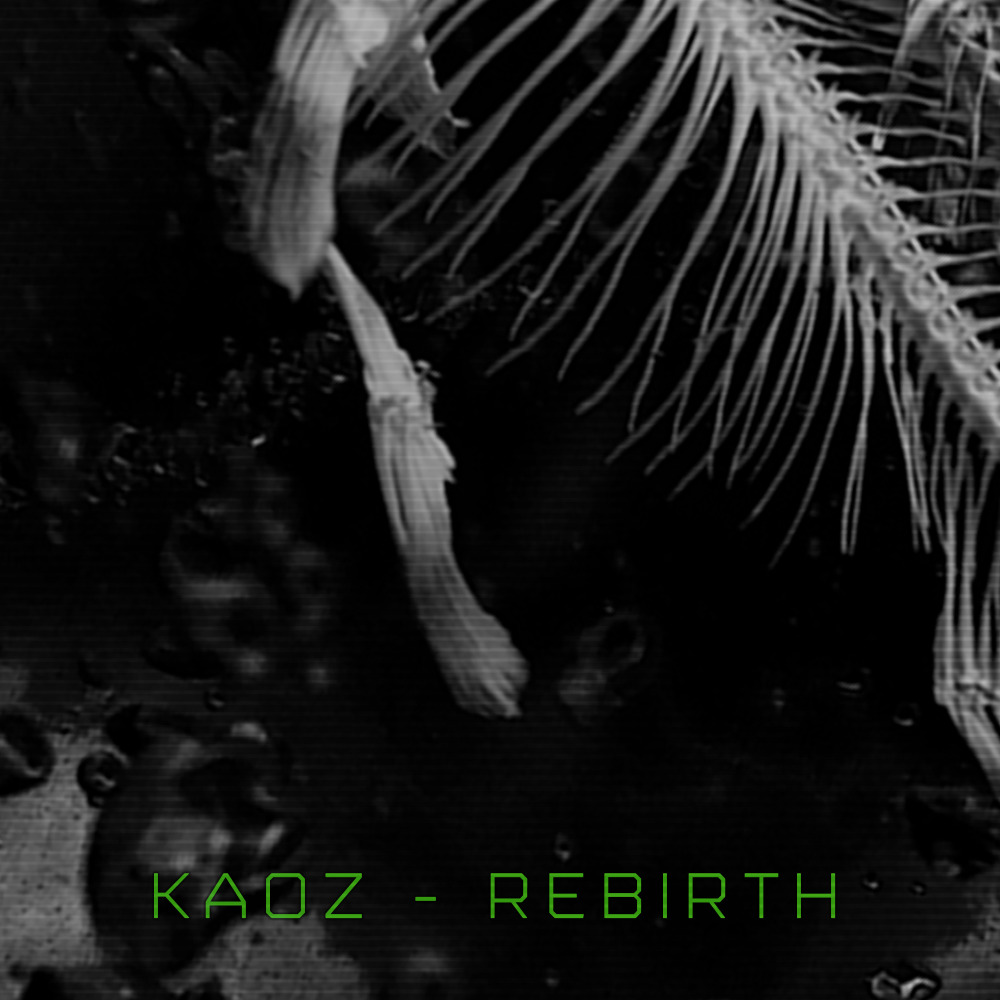 Rebirth