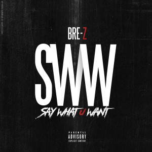 Album Say Watchu' Want (Explicit) from 