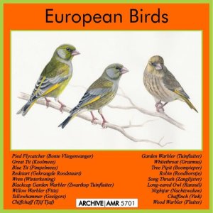 ดาวน์โหลดและฟังเพลง Yellowhammer (Geelgors) พร้อมเนื้อเพลงจาก European Birds
