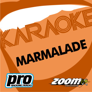 收聽Zoom Karaoke的Baby Make It Soon (In The Style Of 'Marmalade')歌詞歌曲