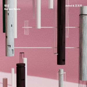 Album 错过 (Red Ant Remix) from 