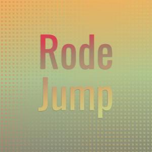 อัลบัม Rode Jump ศิลปิน Various