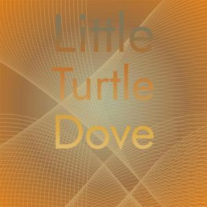 Listen to Side By Side song with lyrics from Paul Whiteman & His Orchestra