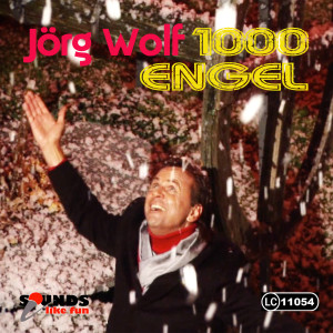 收聽Jörg Wolf的1000 Engel歌詞歌曲
