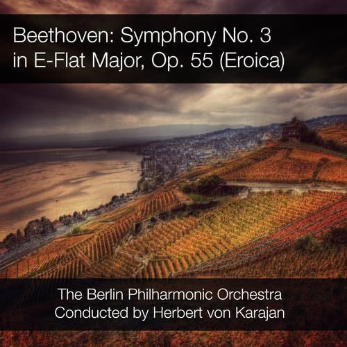 Symphony No. 3 in E-Flat Major, Op. 55: I. Allegro con brio