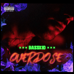 Listen to Ryby (Explicit) song with lyrics from BassKid