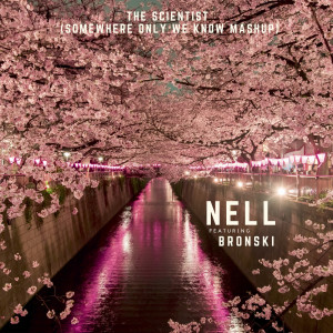 Dengarkan lagu The Scientist(Somewhere Only We Know Mashup) nyanyian Nell dengan lirik