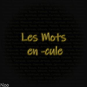 收聽noo的Les mots en -cule (Explicit)歌詞歌曲