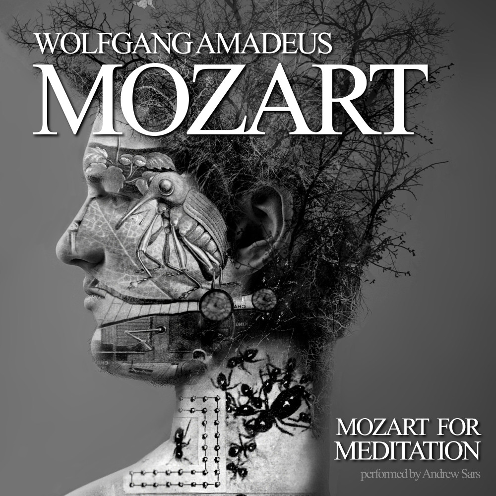 Download Lagu Mozart For Meditation MP3 Download Populer & Hit Lagu