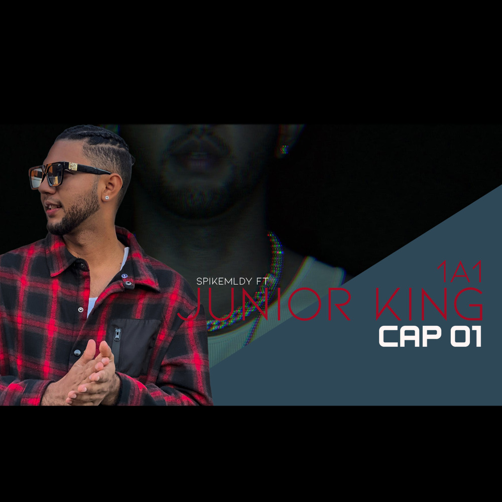 1A1 Cap 01