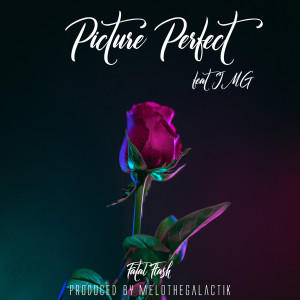 Album Picture Perfect (Explicit) from Fatal Flash