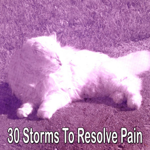 Listen to Drops of Rain song with lyrics from Rain Sounds