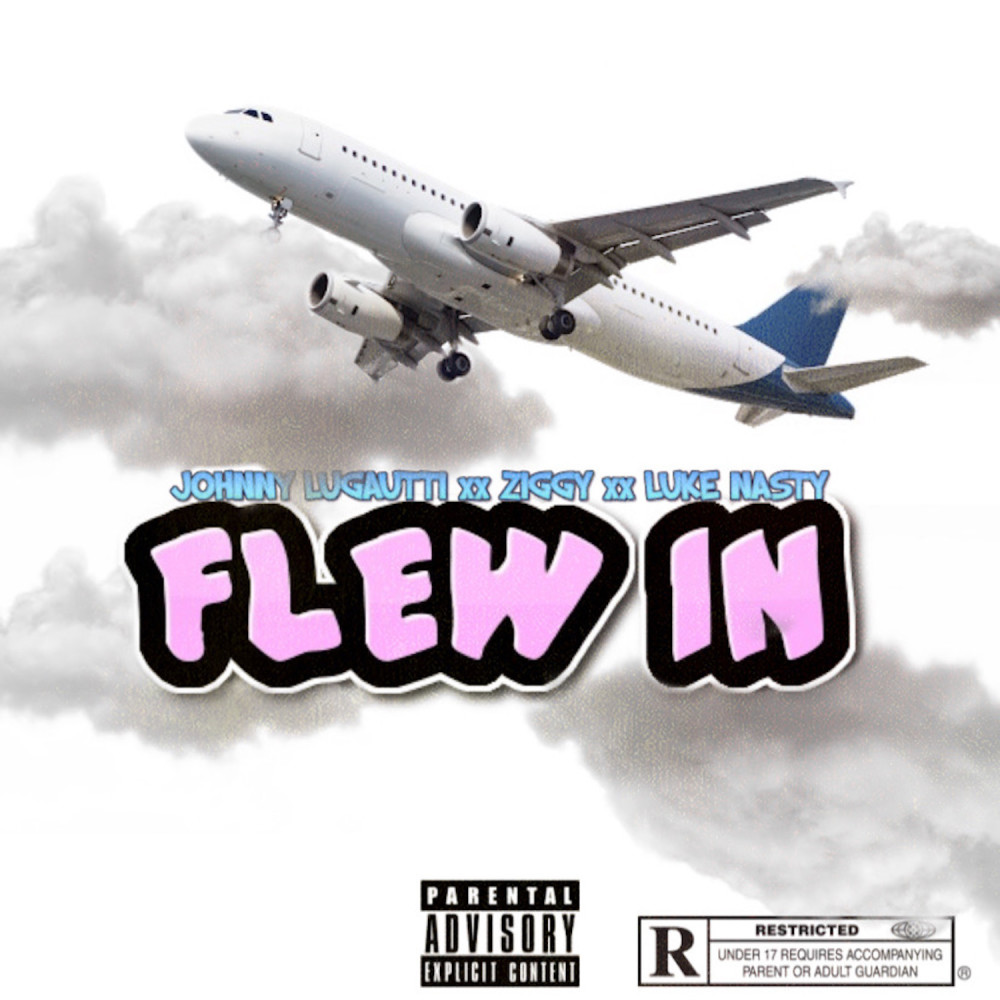 Flew In (Explicit)