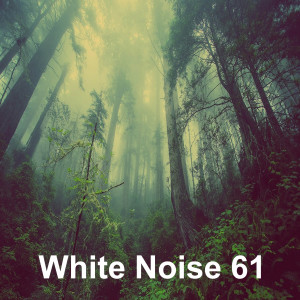 อัลบัม 숲 속 천둥소리와 빗소리 (빗소리 백색소음 화이트노이즈 수면 자장가) ศิลปิน White Noise