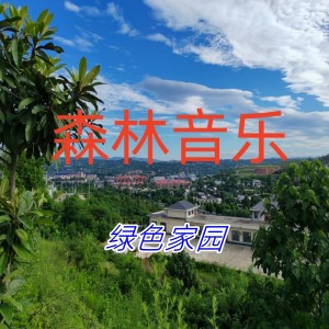 Album 绿色的家园 from 
