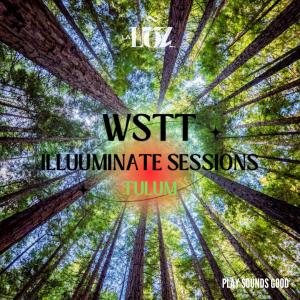 อัลบัม What's The Track?! | Tulum Illuuminate Sessions (Mix) ศิลปิน  La Luz