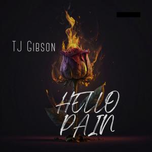 收聽TJ Gibson的Hello Pain歌詞歌曲