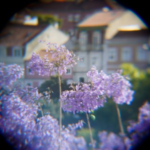 Listen to salvia divinorum song with lyrics from Flynn