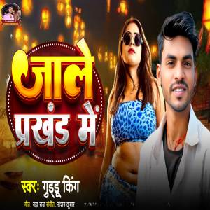 收聽Guddu king的Jale parkhand me歌詞歌曲