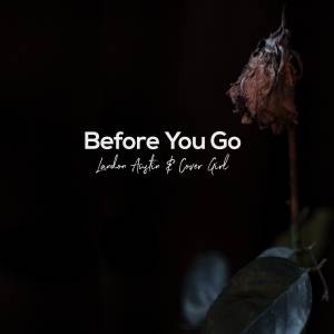 Album Before You Go (Acoustic) from Landon Austin