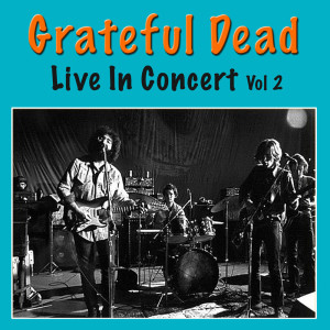 ดาวน์โหลดและฟังเพลง Knockin' On Heaven's Door (Live) พร้อมเนื้อเพลงจาก Grateful Dead
