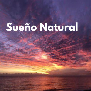 Relajacion y Guitarra Acustica的專輯Sueño Natural