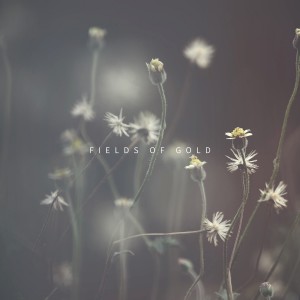 Listen to Fields of Gold song with lyrics from Ben Laver