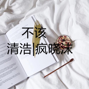Listen to 不该 song with lyrics from 清浩