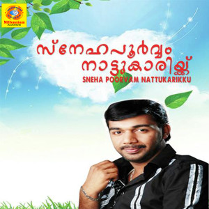 ดาวน์โหลดและฟังเพลง Kannil Neeyanu พร้อมเนื้อเพลงจาก Naseer