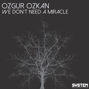 Ozgur Ozkan的專輯We Don't Need a Miracle