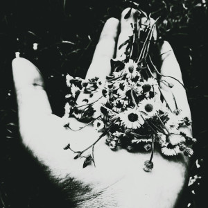 Album Я подарил цветы (Explicit) from Забытый женя