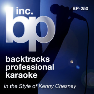 Karaoke: In the Style of Kenny Chesney (Karaoke Version)
