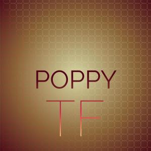 Various Artists的專輯Poppy Tf