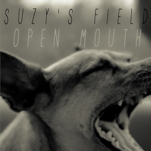 Listen to Open Mouth (feat. Jonathan Rhys Meyers) song with lyrics from Suzy's Field