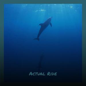 Various的专辑Actual Ride