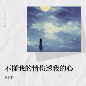 賀世哲的專輯不懂我的情傷透我的心