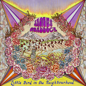 Album Little Bird in the Neighborhood from James Maddock