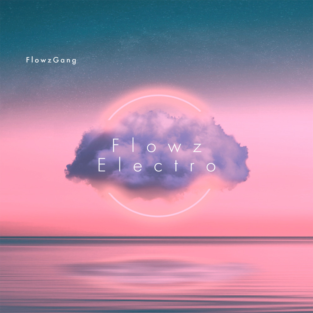 FlowzElectro, Pt. 2