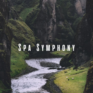 Spa Symphony: Tranquil Waters with Binaural Beats