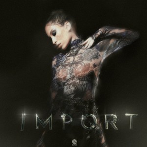 ดาวน์โหลดและฟังเพลง BOŞUNA (Explicit) พร้อมเนื้อเพลงจาก AYDEED