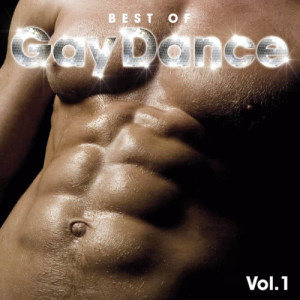 Various Artists的專輯Best Of Gay Dance Vol. 1