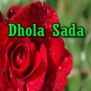 Listen to Ghar Wal Aa Pardesi Yara song with lyrics from Hamid Ali Rind