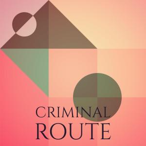 Album Criminal Route from Various