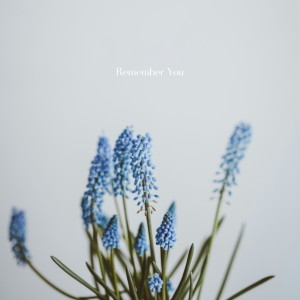 ดาวน์โหลดและฟังเพลง Remember You พร้อมเนื้อเพลงจาก Tim Missel