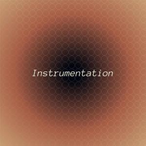 Various的专辑Instrumentation