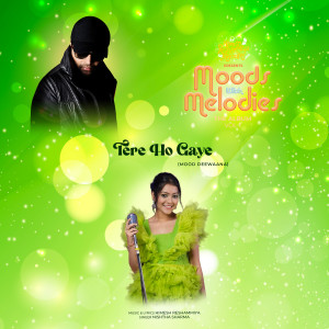 อัลบัม Tere Ho Gaye ศิลปิน Nishtha Sharma