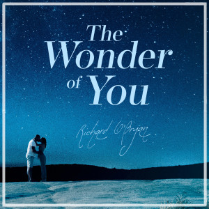 Dengarkan lagu The Wonder of You nyanyian Richard O'Bryan dengan lirik