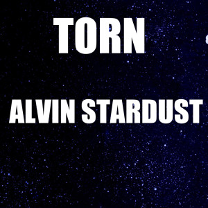 Listen to Torn song with lyrics from Alvin Stardust