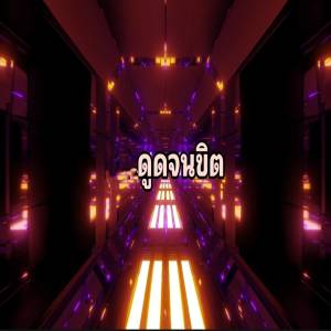 Listen to ดูดจนขิต (Explicit) song with lyrics from PLAYING ZONE