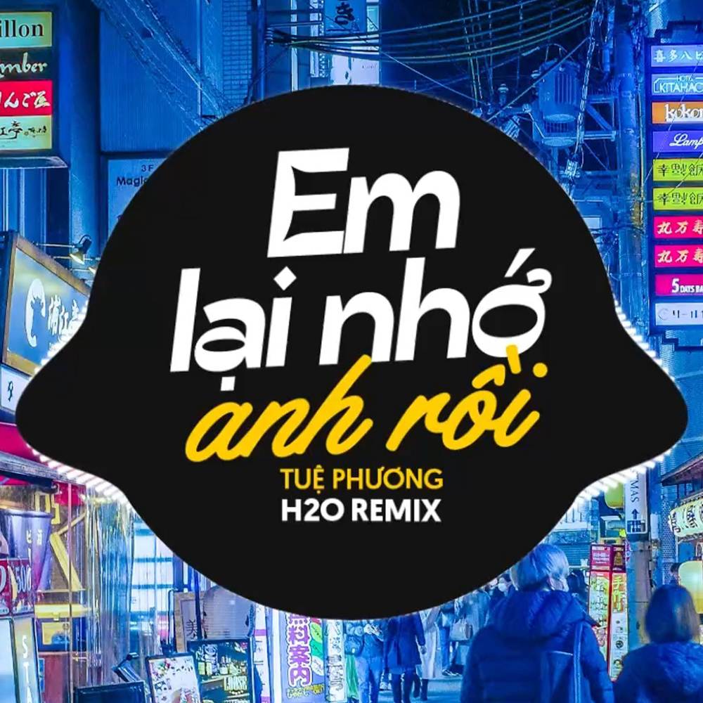 Em Lại Nhớ Anh Rồi (Ducati Remix)